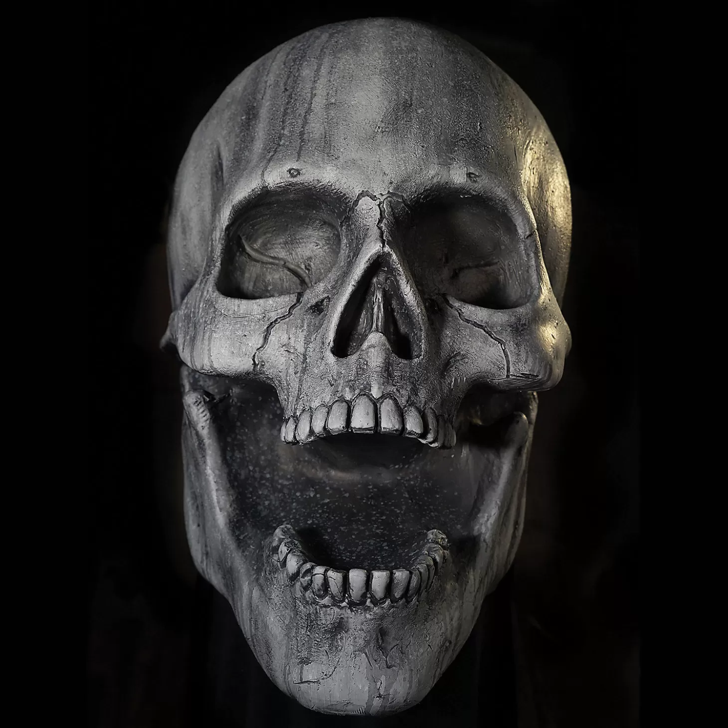 New Stone Skull Prop Skulls & Skeletons