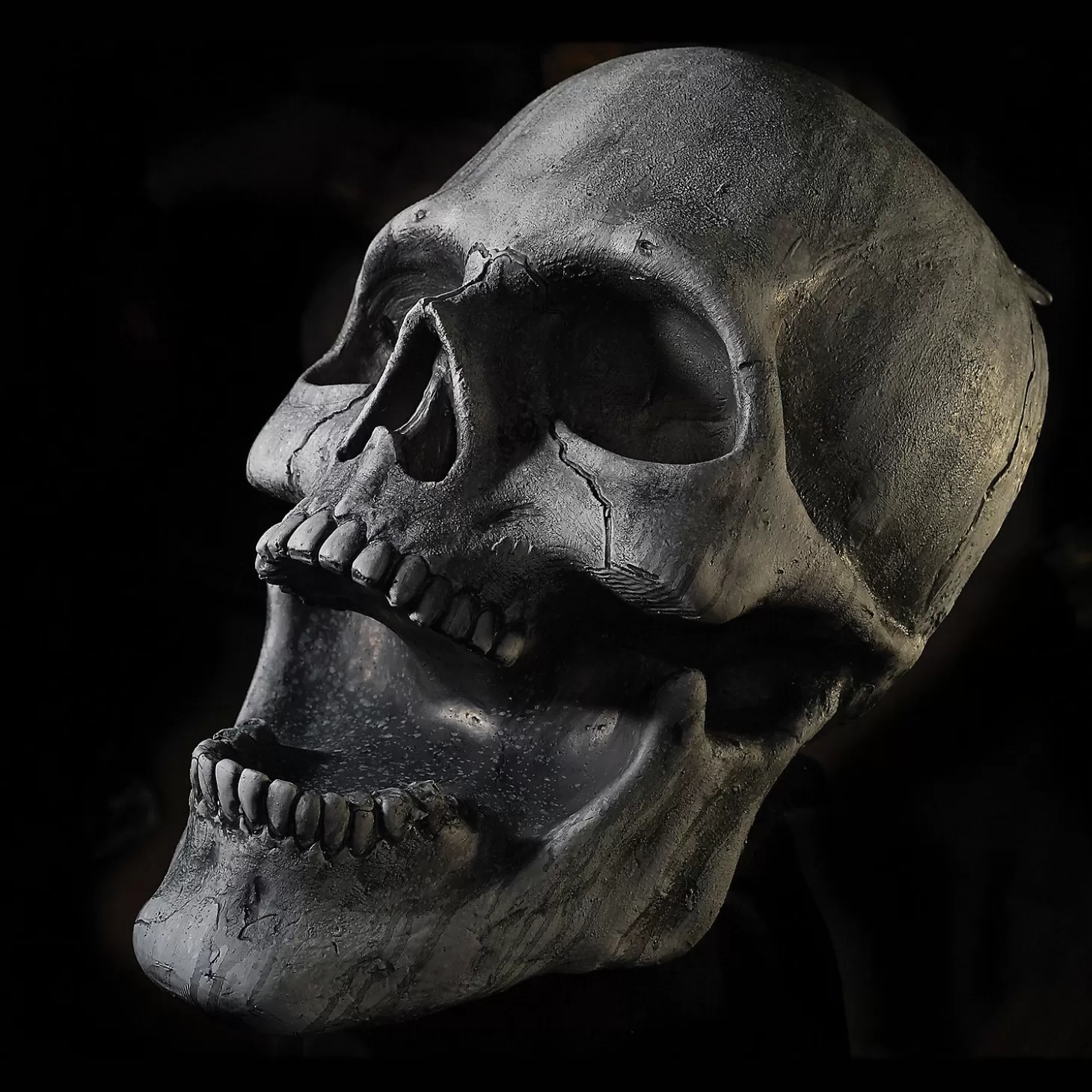 New Stone Skull Prop Skulls & Skeletons