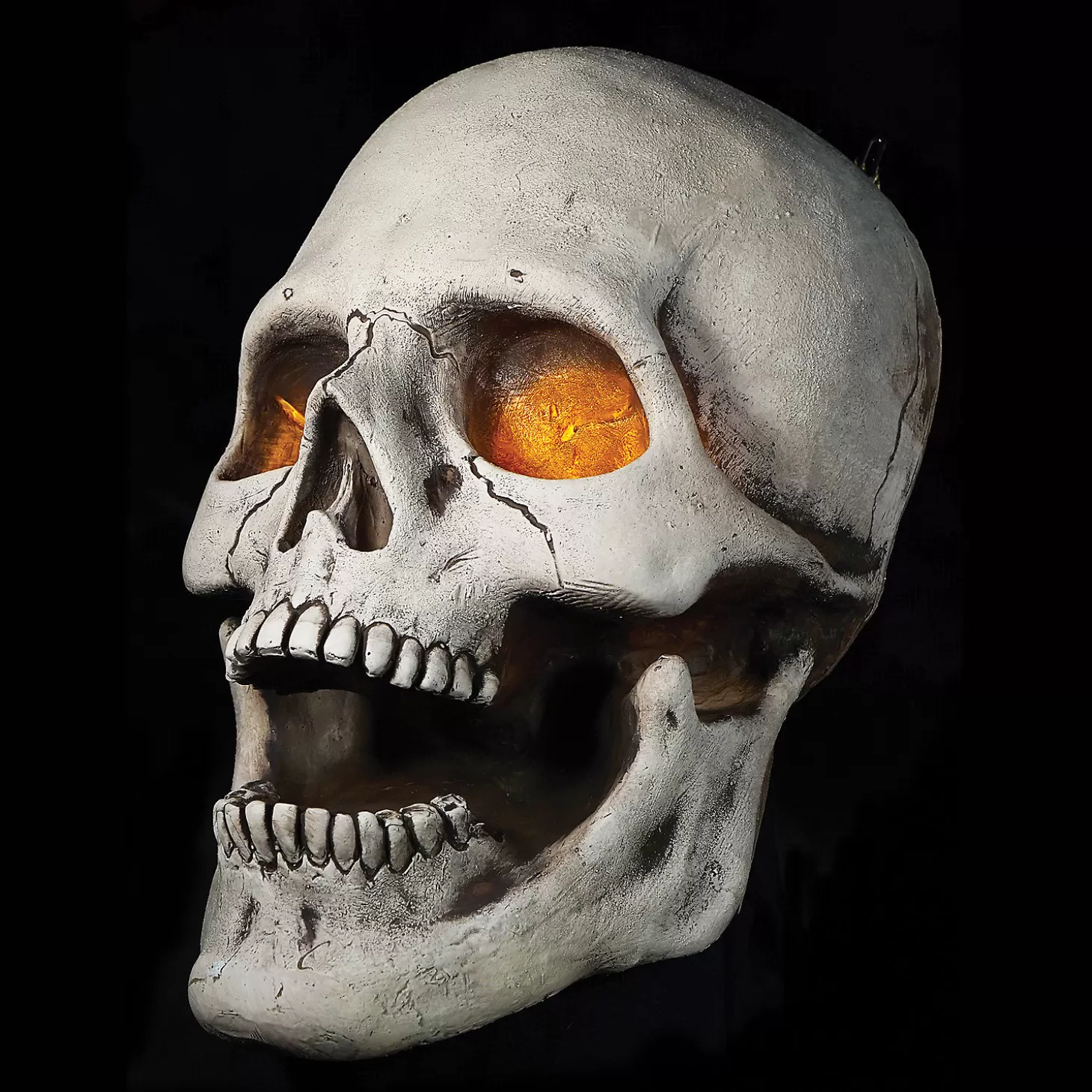 Online Super Skull Prop Skulls & Skeletons