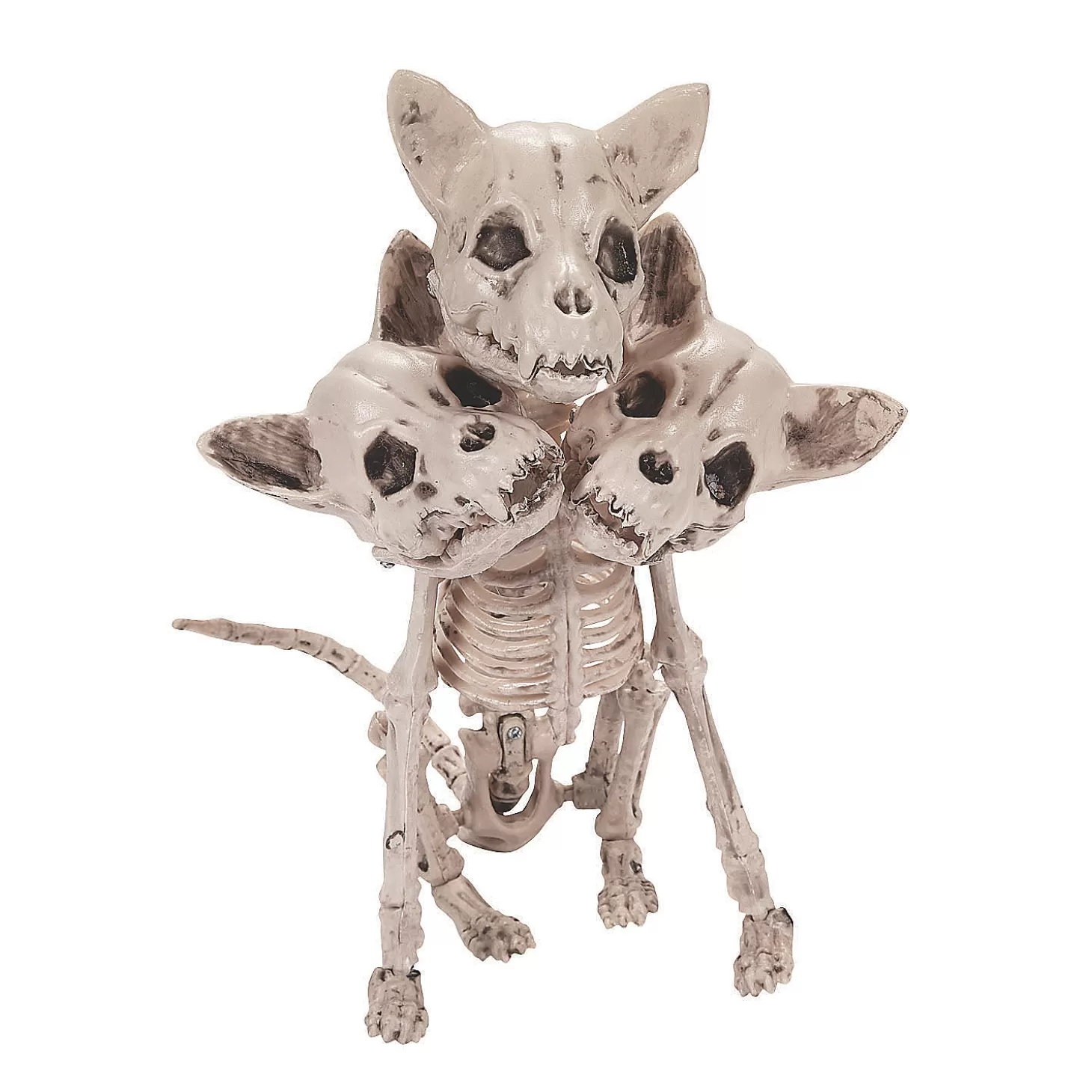 Fashion Three-Headed Dog Skeleton Halloween Decoration Skulls & Skeletons