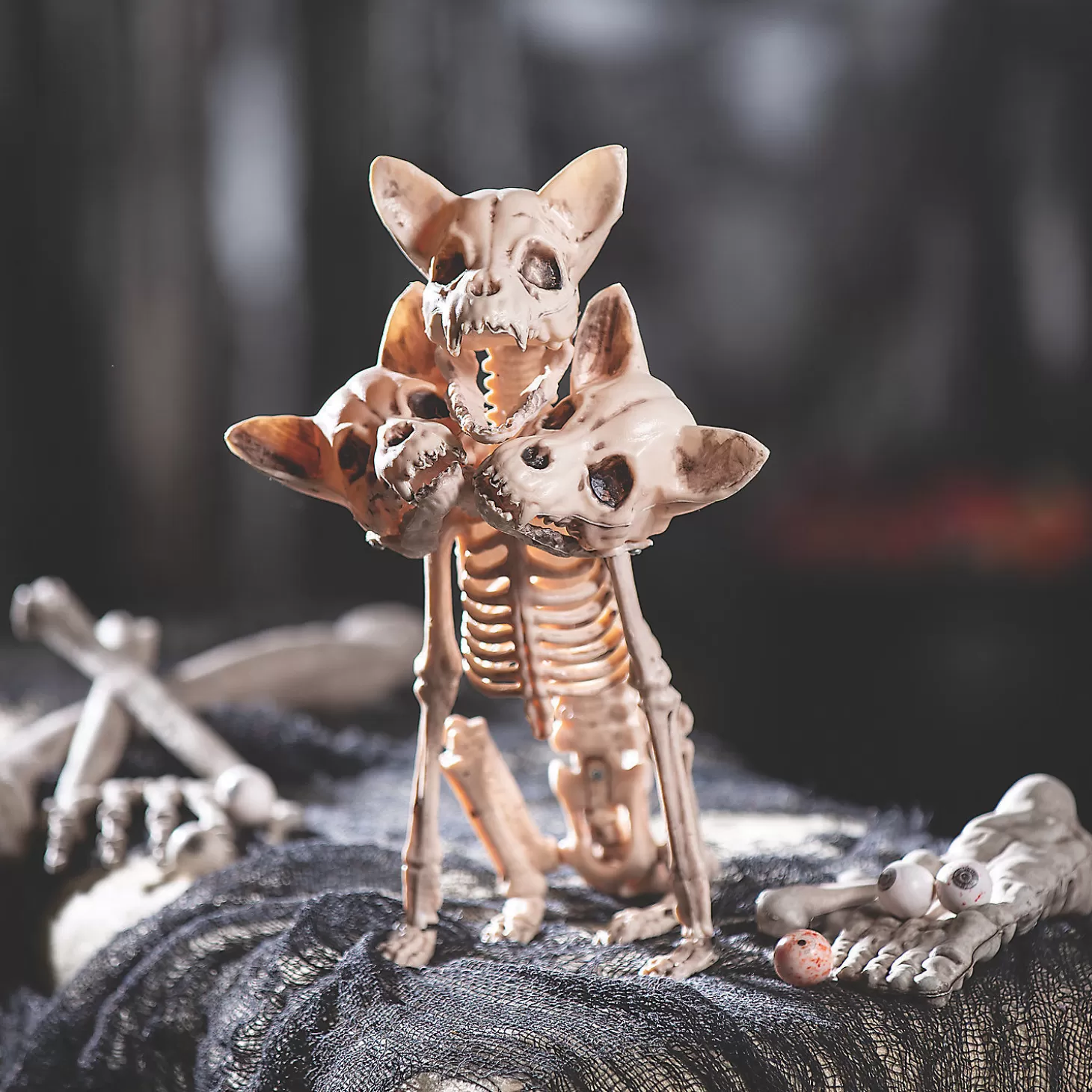 Fashion Three-Headed Dog Skeleton Halloween Decoration Skulls & Skeletons